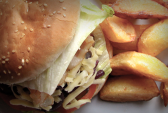 comida r&aacute;pida
